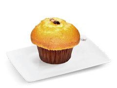 Blueberry Muffin